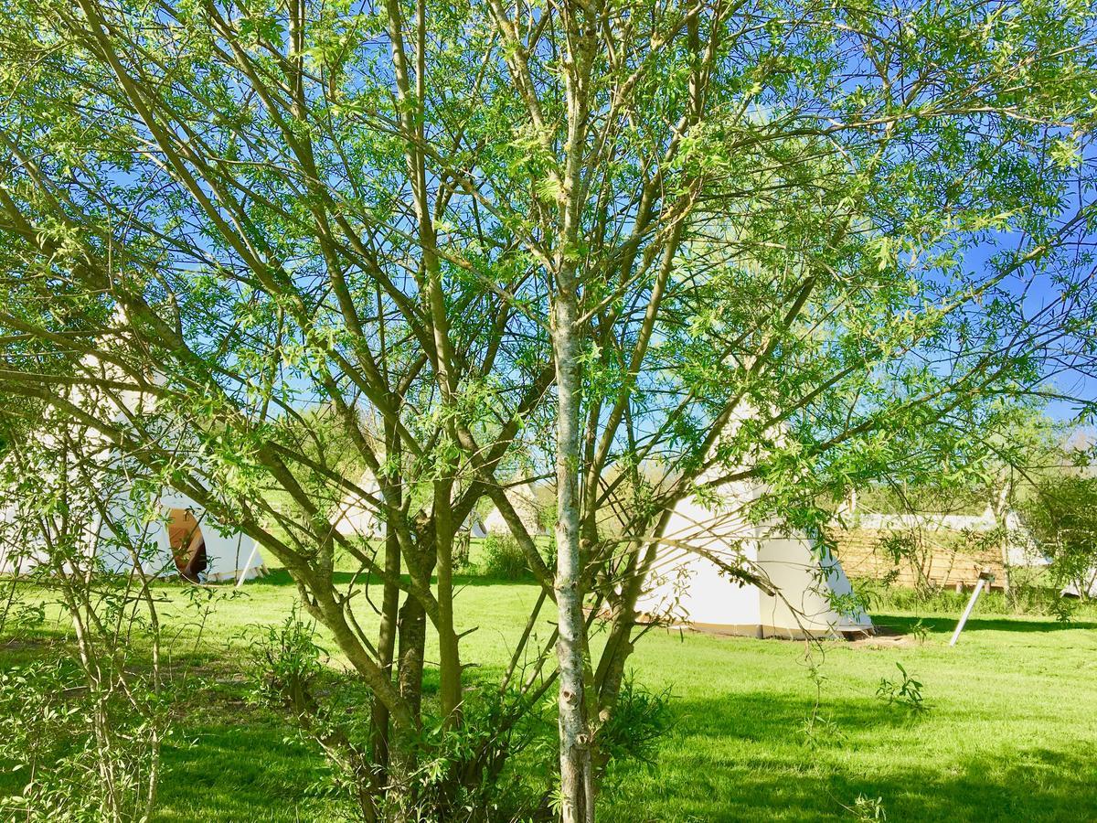 Les Tipis Du Bonheur De Vivre Hotel Brûlon Exterior foto